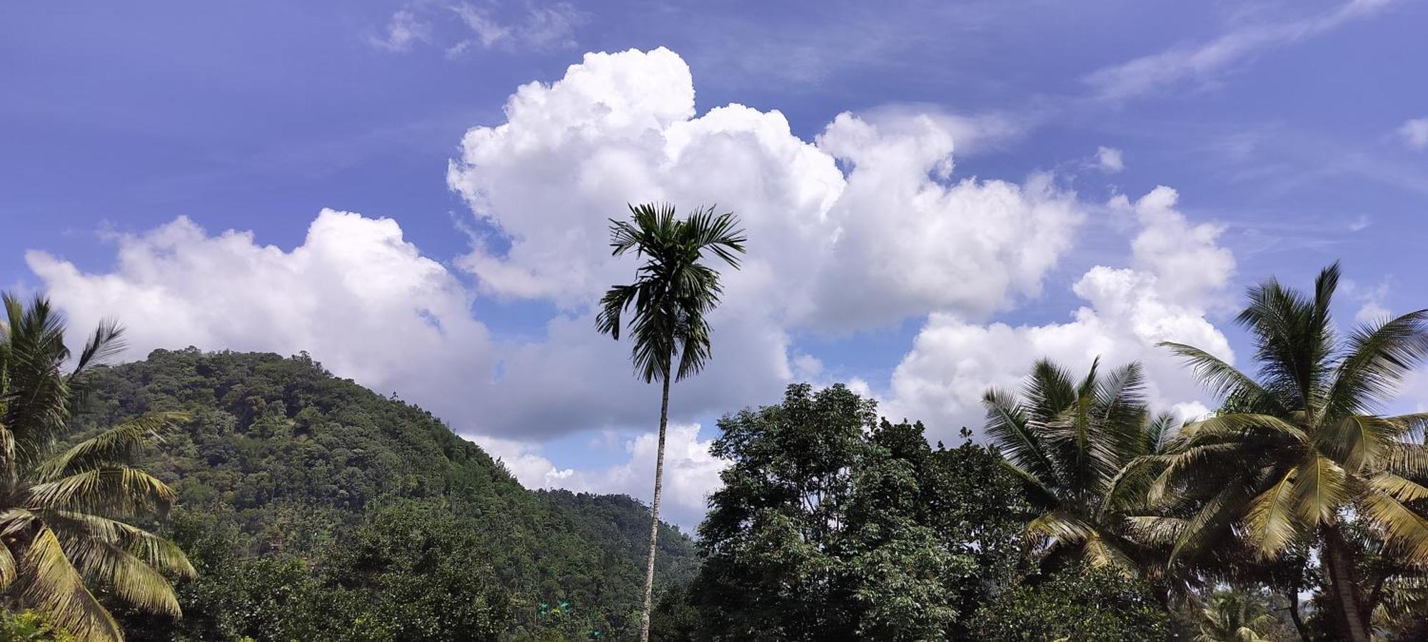 Himadri Munnar Holidays Exteriér fotografie